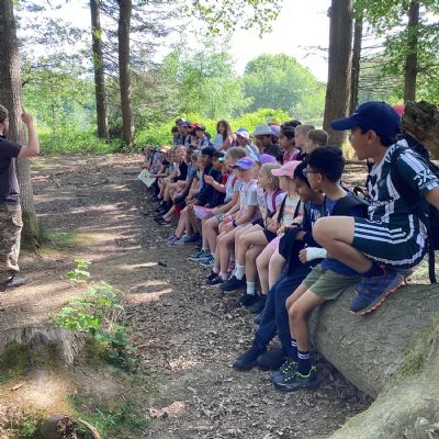 Year 4: Bushcraft